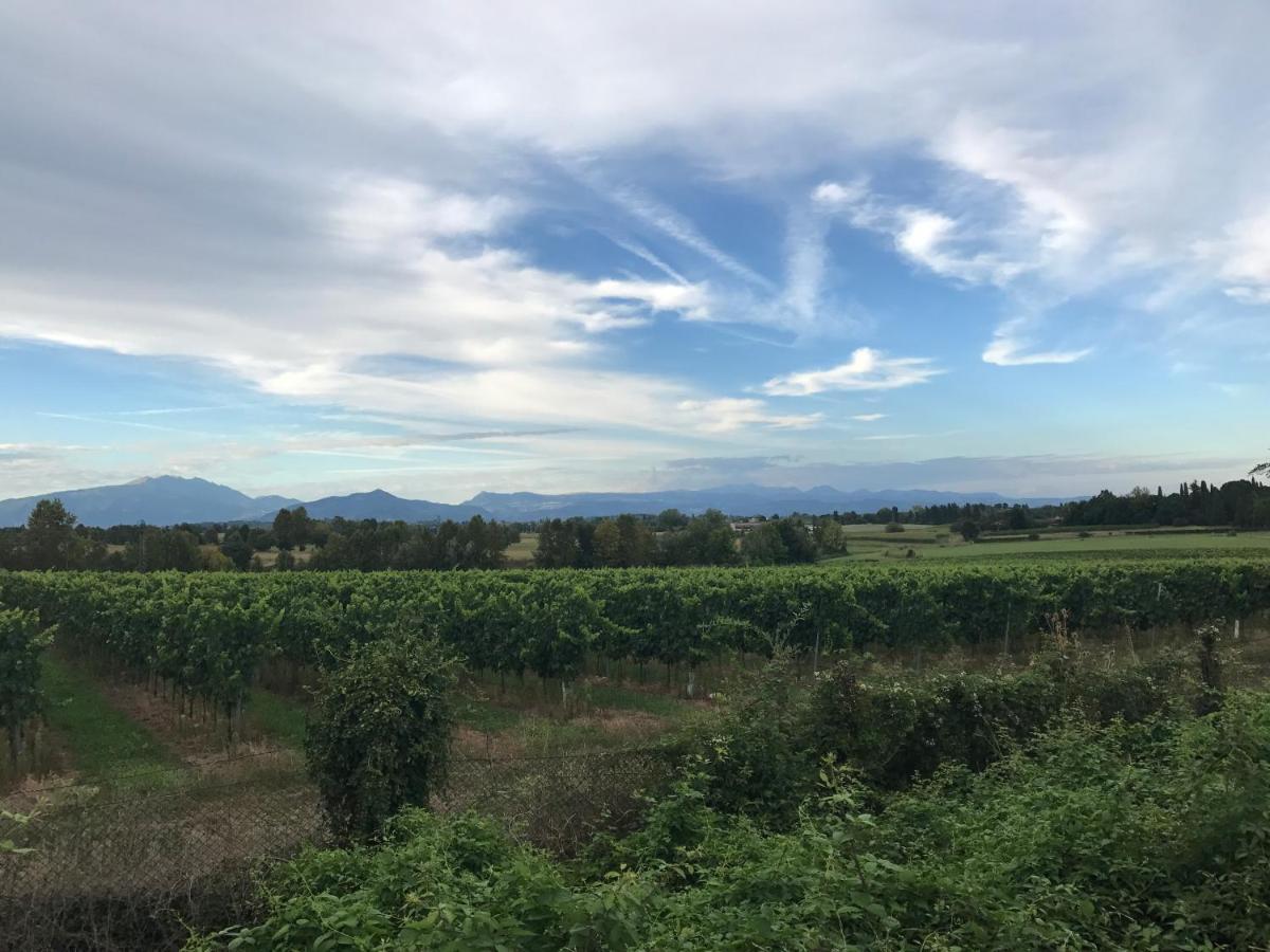 Valle Segreta Valeggio sul Mincio Εξωτερικό φωτογραφία